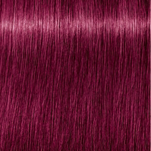 Schwarzkopf 2