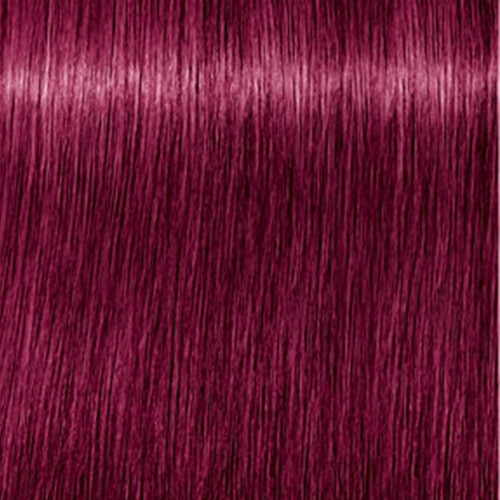 Schwarzkopf 2