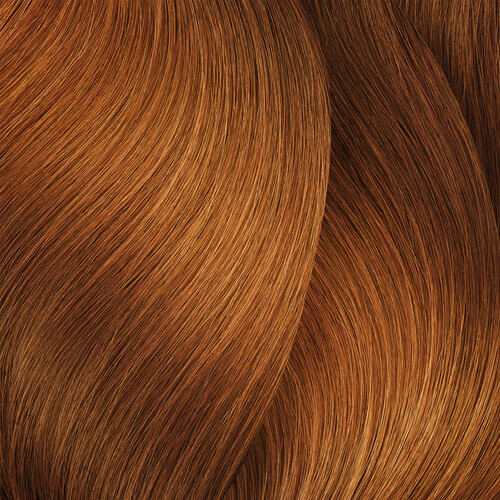 L’ORÉAL PRO DIA 2