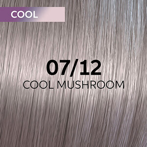WELLA SHINEFINITY 2