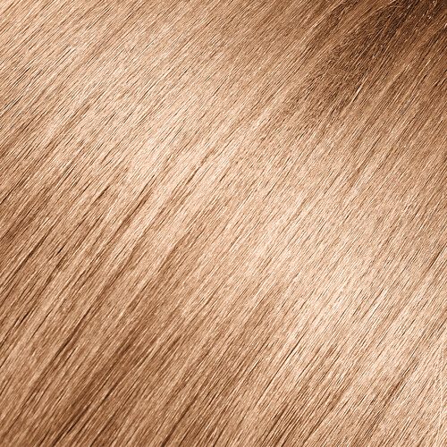 ANDREIA COLORATION 2