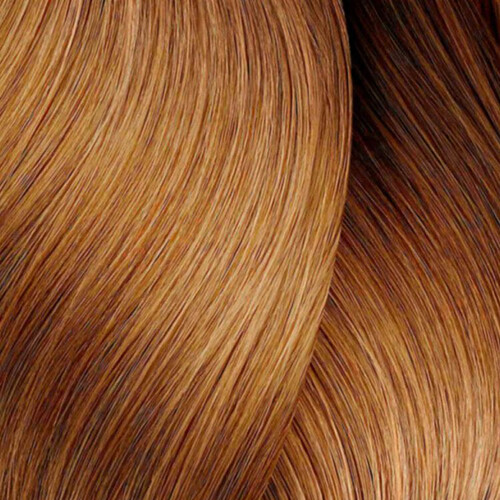 L’Oréal Pro Dia 2