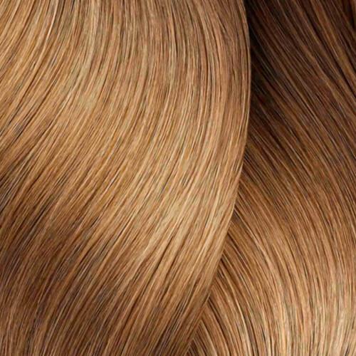 L’Oréal Pro Dia 2