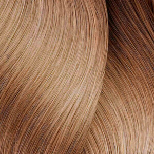 L’Oréal Pro Dia 2