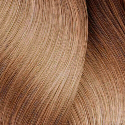 L’Oréal Pro Dia 2