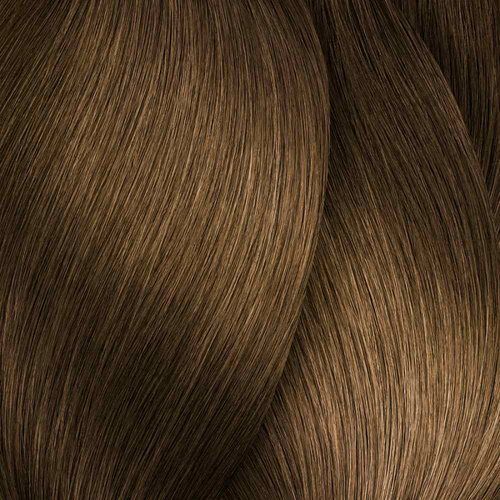 L’oréal Pro Inoa 2