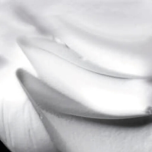 L’Oréal Pro Serie 2