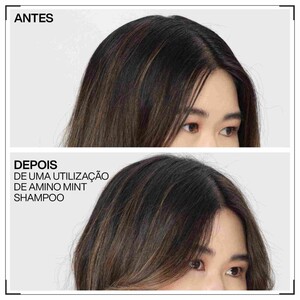 Redken Amino-Mint 3