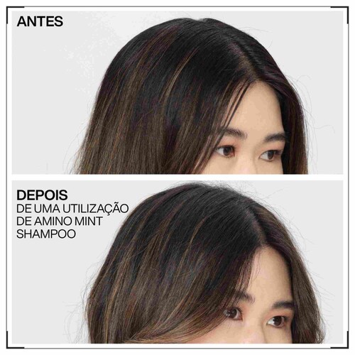 Redken Amino-Mint 3