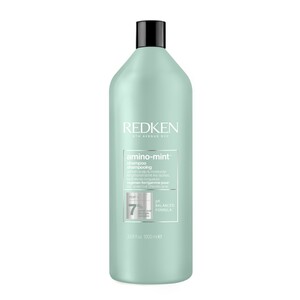 Redken Amino-Mint 1