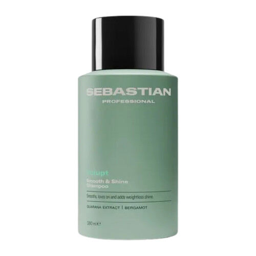 SEBASTIAN PRO VOLUPT 1