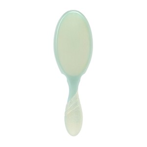 WET BRUSH PRO 5