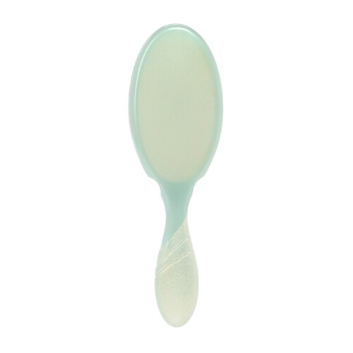 WET BRUSH PRO 5