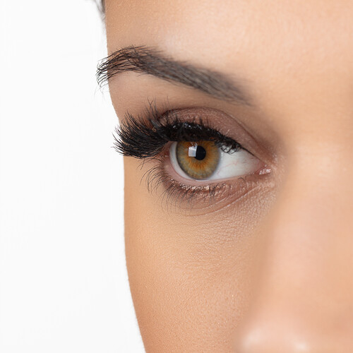 AMMA WISHLASHES 2