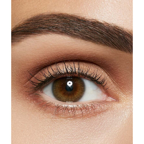 Maybelline Brow 6