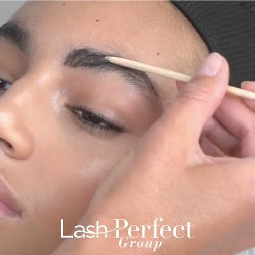 Hi Brow Professional 2