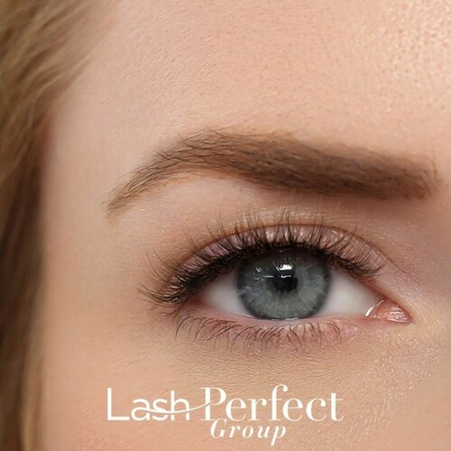 Hi Brow Professional 5