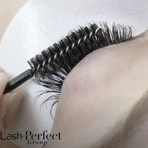 LASH PERFECT 2