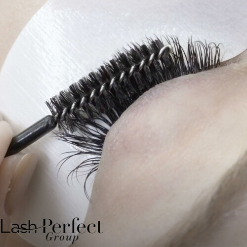 LASH PERFECT 2