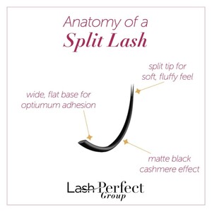 LASH PERFECT C CURL 3