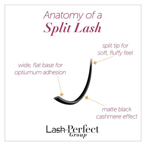 LASH PERFECT C CURL 4