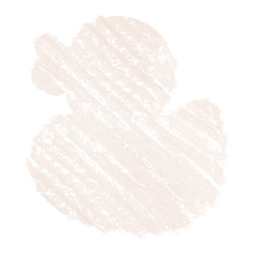 NYX PRO MAKEUP DUCK 2