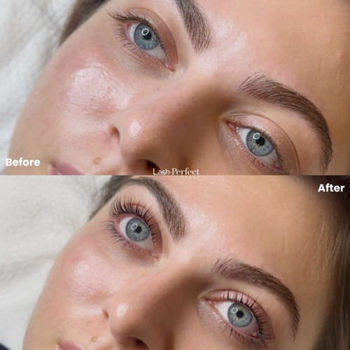 Lash Perfect 6