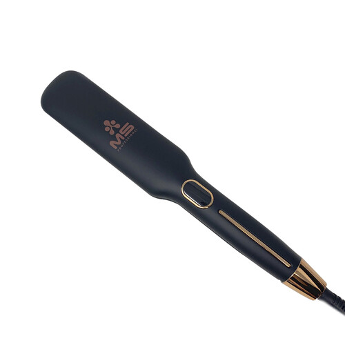 MS PROFESSIONAL 1