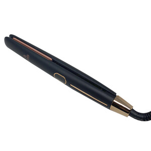 MS PROFESSIONAL 2