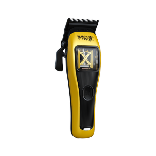MS Professional 2