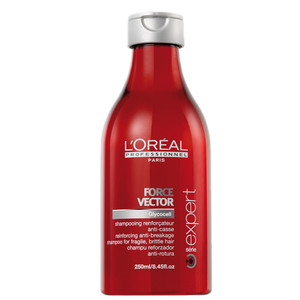 LOREAL SE SH FORCE 1