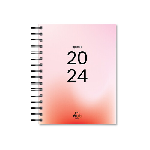 AGENDA PLURI 1
