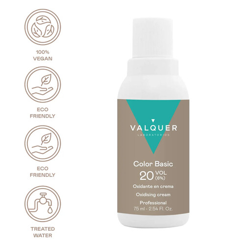 VALQUER COLOR BASIC 2