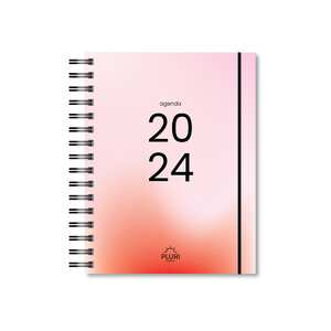 AGENDA PLURI 2