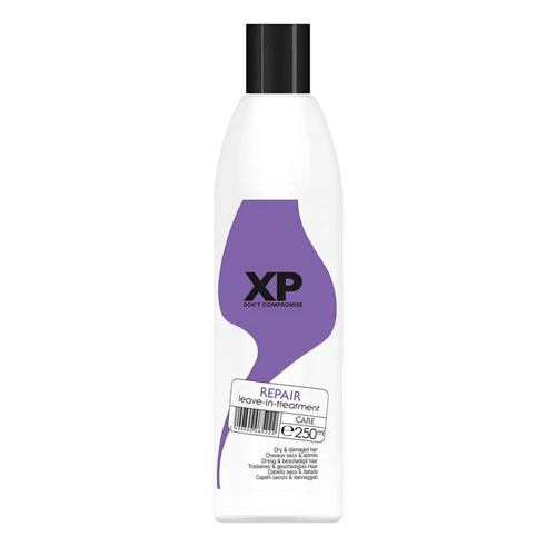 XP100 Repair 1
