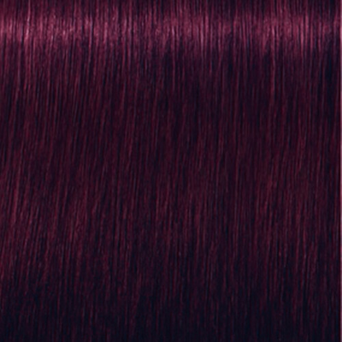 Schwarzkopf 2