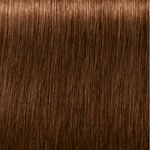 Schwarzkopf 2