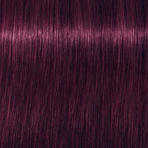 SCHWARZKOPF 2
