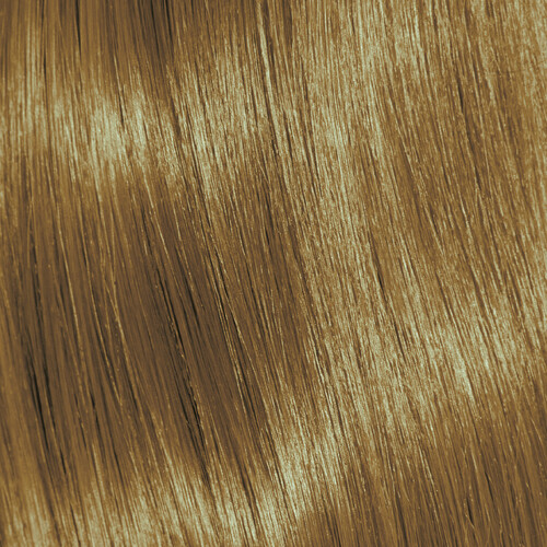 Subrina Professional 2