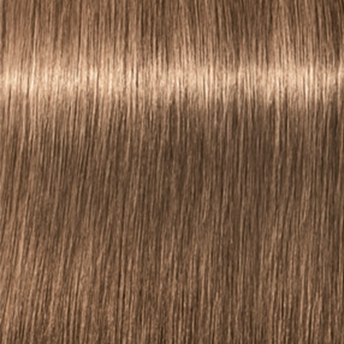 SCHWARZKOPF 2