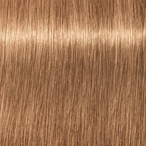SCHWARZKOPF 2