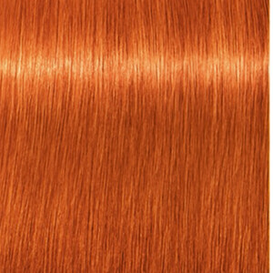 Schwarzkopf 2