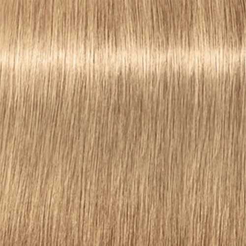 SCHWARZKOPF 2