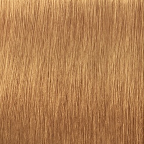 SCHWARZKOPF 2