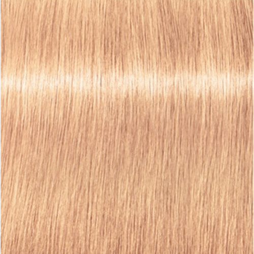 SCHWARZKOPF 2