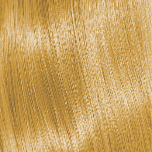 Subrina Professional 2
