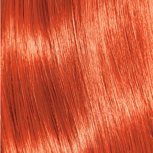 Subrina Professional 2