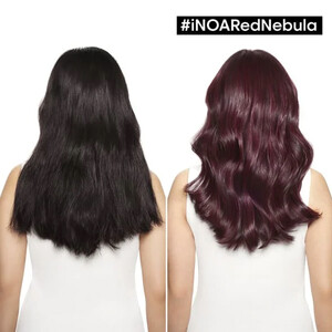 L’ORÉAL PRO INOA 5