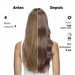 L’Oréal Pro Dia 4