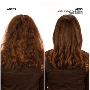 REDKEN FRIZZ DISMISS 4